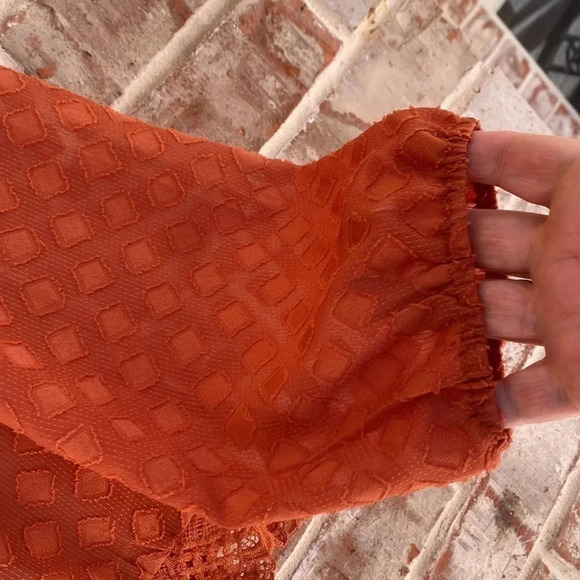 Haute Fox Rust Diamond Shape Ruffled Lace Blouse - Picture 5 of 10